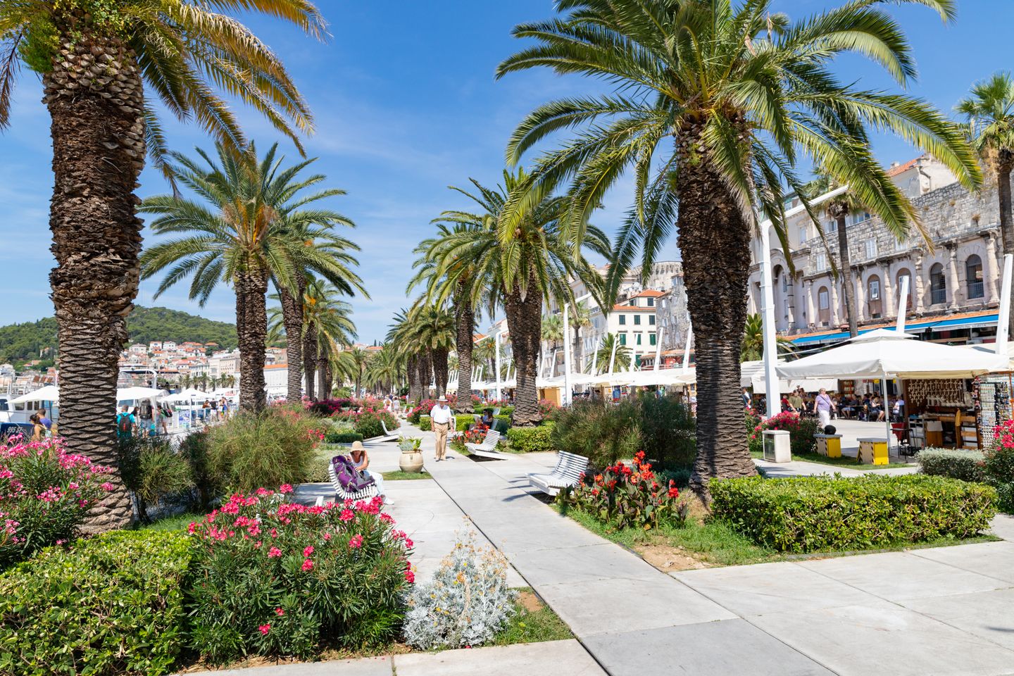 Aerial view of Split's palm-lined Riva waterfront promenade running along the harbour beneath the walls of Diocletian's Palace, with the Dalmatian hills behind